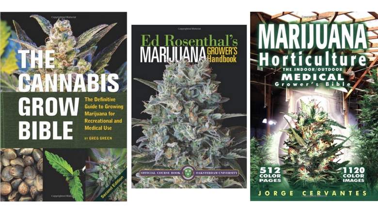 Cannabis Grow Bible Pdf